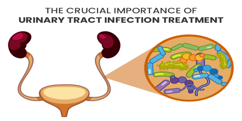 Crucial Importance of Urinary Tract Infection Treatment